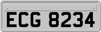 ECG8234