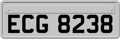 ECG8238