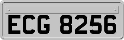 ECG8256