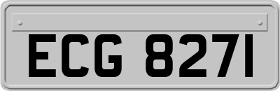 ECG8271