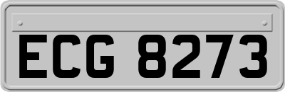 ECG8273