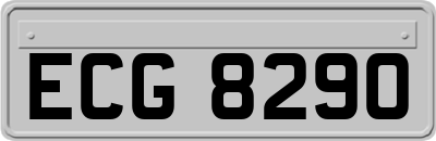 ECG8290