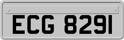 ECG8291