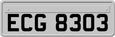 ECG8303