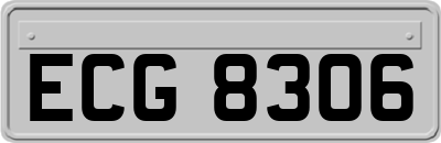 ECG8306