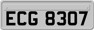 ECG8307