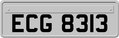 ECG8313