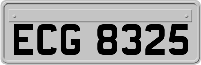 ECG8325