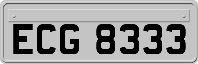 ECG8333