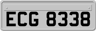 ECG8338