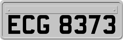 ECG8373