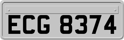 ECG8374