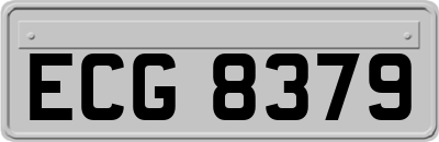 ECG8379