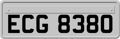 ECG8380