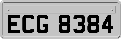ECG8384