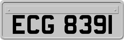 ECG8391