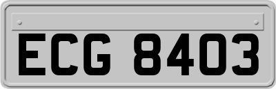 ECG8403