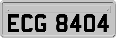 ECG8404