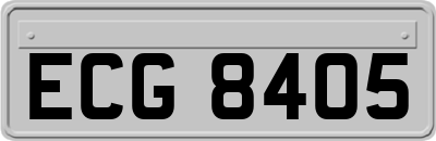 ECG8405