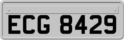ECG8429
