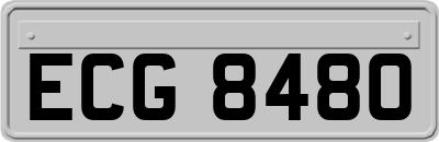 ECG8480