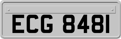 ECG8481