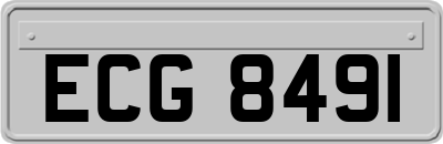 ECG8491