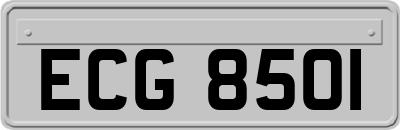 ECG8501