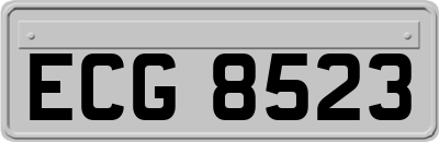 ECG8523