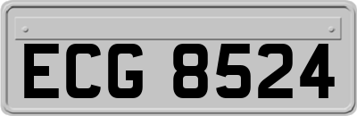 ECG8524