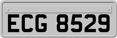 ECG8529