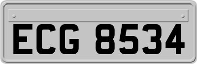 ECG8534