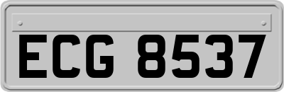 ECG8537