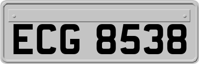 ECG8538