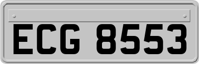ECG8553