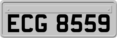 ECG8559