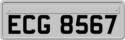 ECG8567