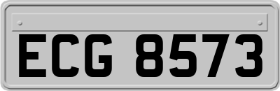 ECG8573