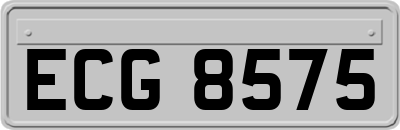 ECG8575