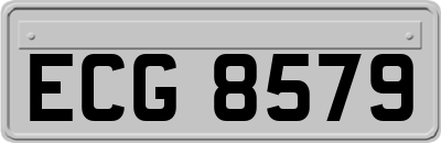 ECG8579