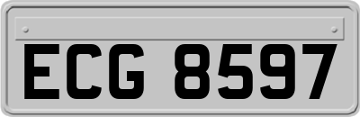 ECG8597