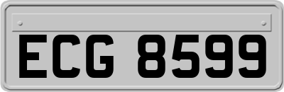 ECG8599