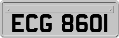 ECG8601