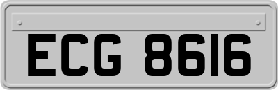ECG8616