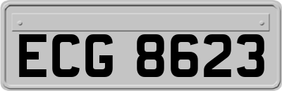 ECG8623