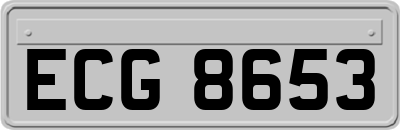 ECG8653