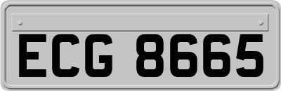 ECG8665