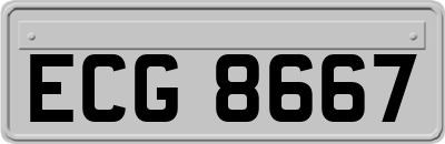 ECG8667