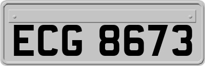 ECG8673