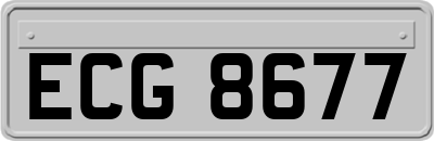 ECG8677